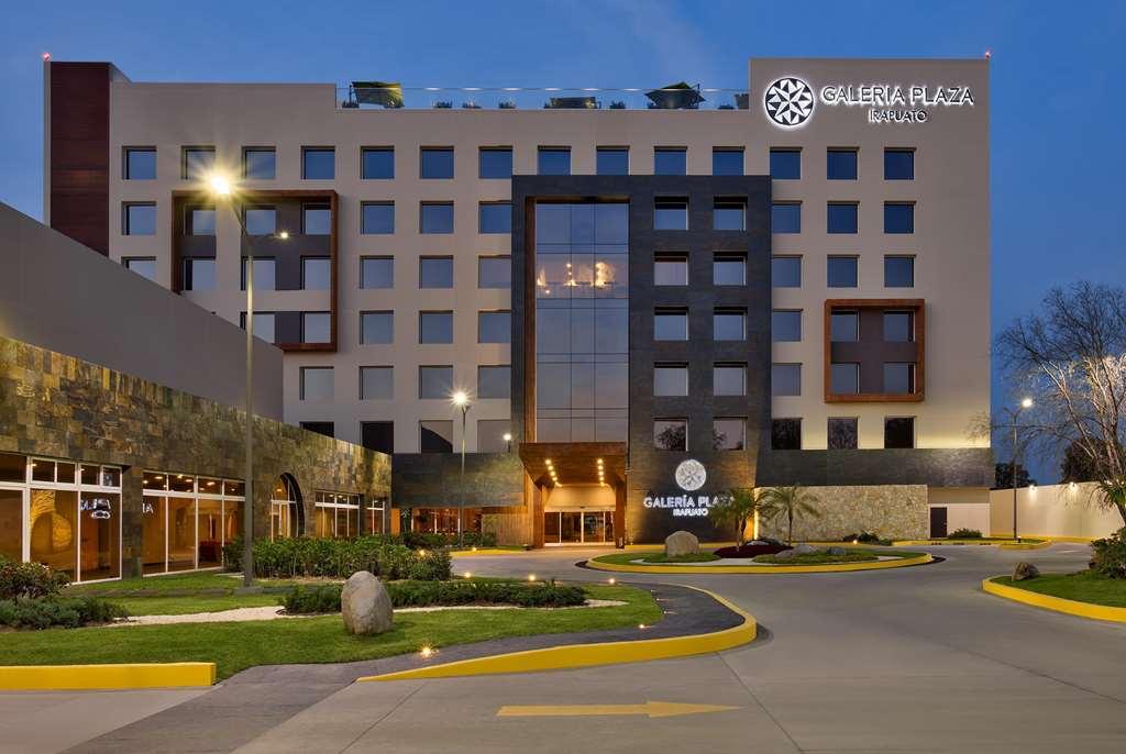 Galeria Plaza Irapuato Hotell Exteriör bild